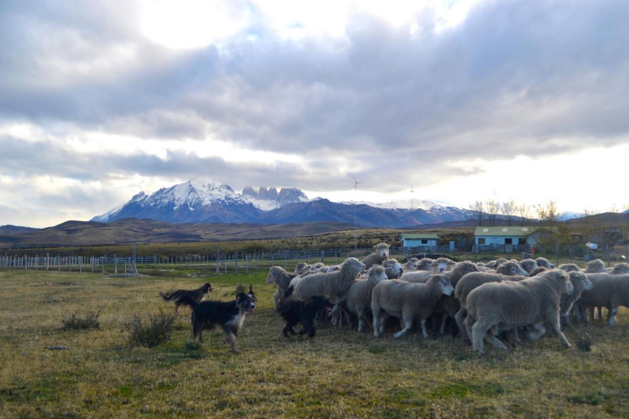 Hosteria Tercera Barranca Torres del Paine National Park Exterior photo
